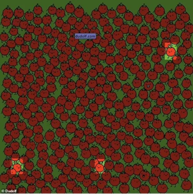 find-hidden-apples-picture-puzzle-answer