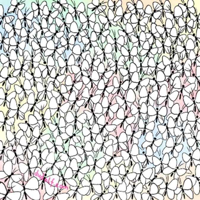 This puzzle is a mini IQ test in disguise. If you are truly sharp and smart then this puzzle should be a piece of cake for you. find-hidden-ant-picture-puzzle