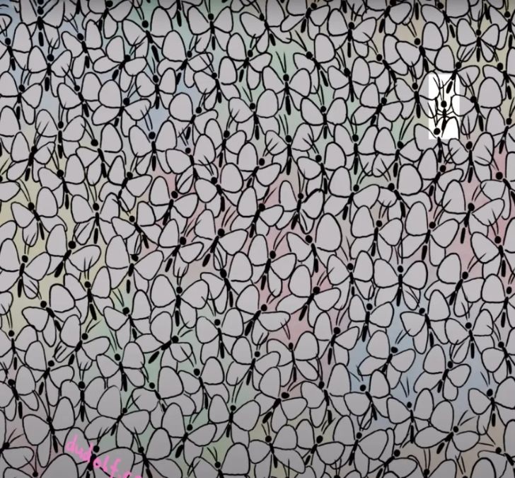 find-hidden-ant-picture-puzzle-answer