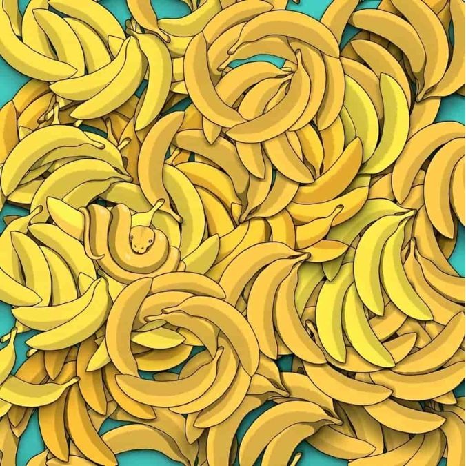 find-hidden-snake-optical-illusion