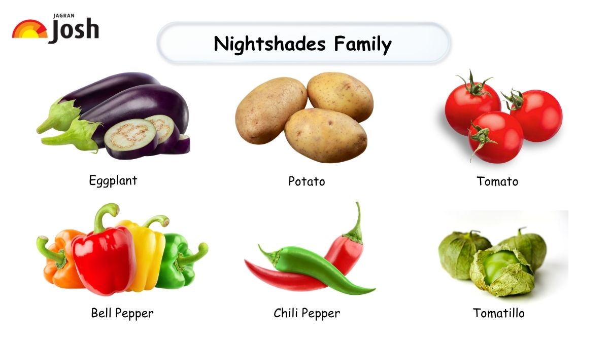 Nightshades Family 