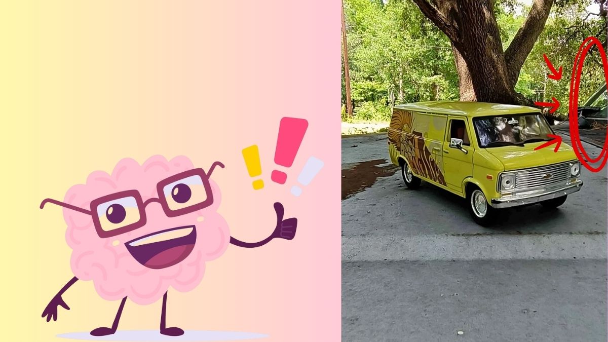 find the another car-sol