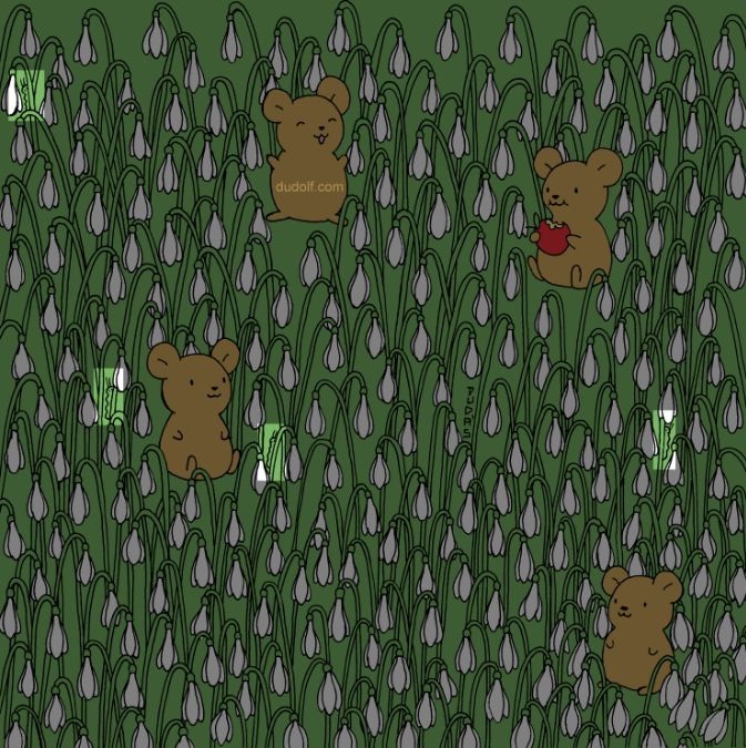 find-hidden-caterpillars-picture-puzzle-answer