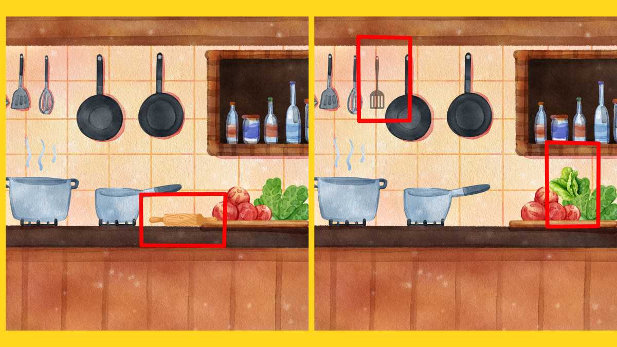 SPOT THE DIFFERENCE answer