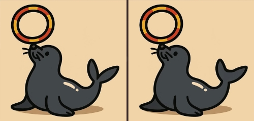 seal-puzzle