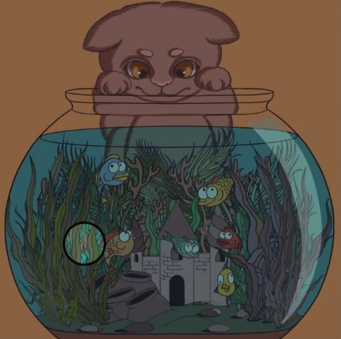 find-hidden-feather-picture-puzzle-answer