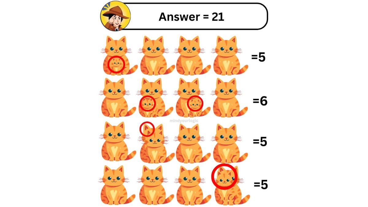 how many cats are there-sol