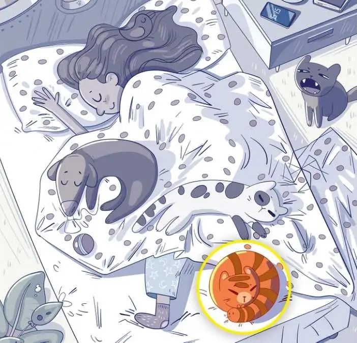 find-hidden-bumblebee-picture-puzzle-answer