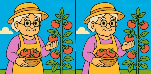 tomato-puzzle