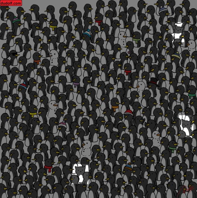 find-hidden-cats-picture-puzzle-answer