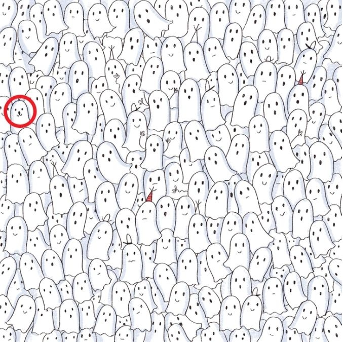 find-hidden-seal-picture-puzzle-answer