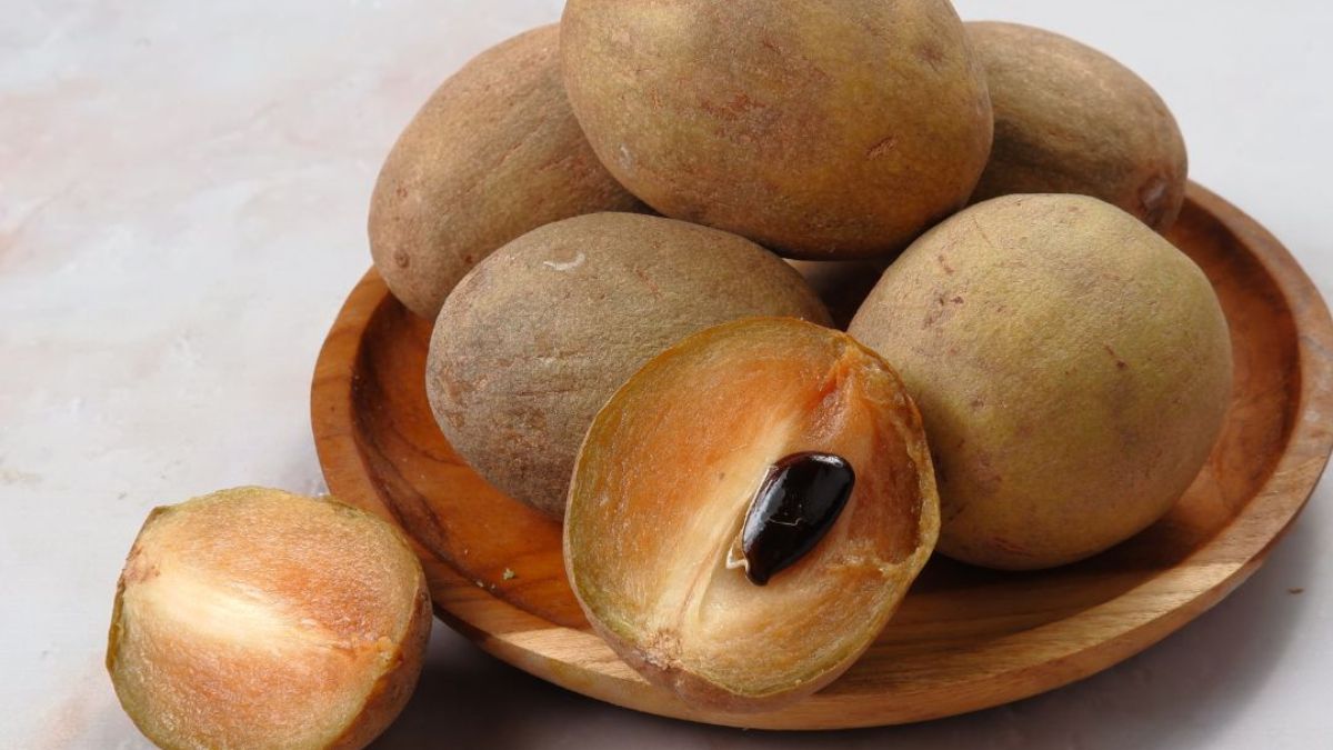 sapodilla sapodilla