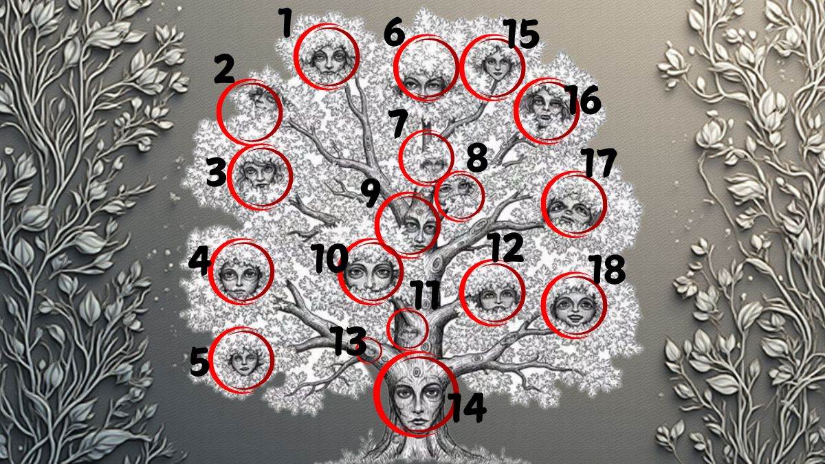 count the number of faces in the trees-sol