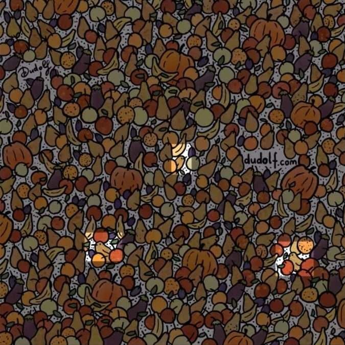 find-hidden-birds-picture-puzzle-answer