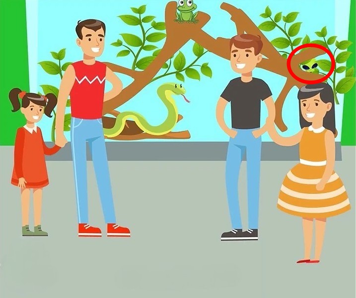 find the alien solution