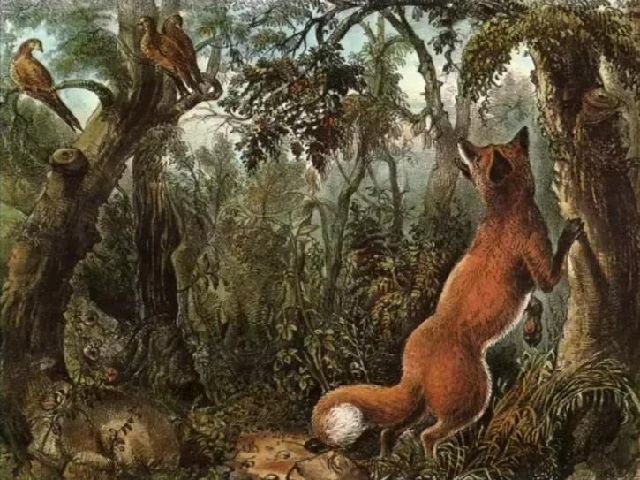 optucal-illusion-fox-compressed