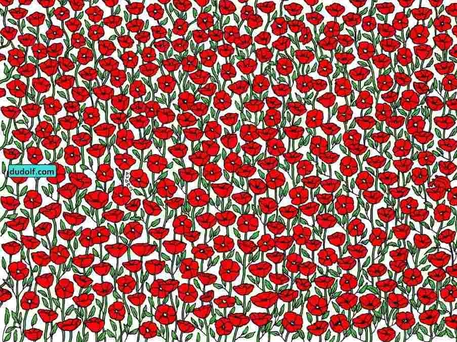 hidden objects picture puzzles with answers find-hidden-crab-picture-puzzle