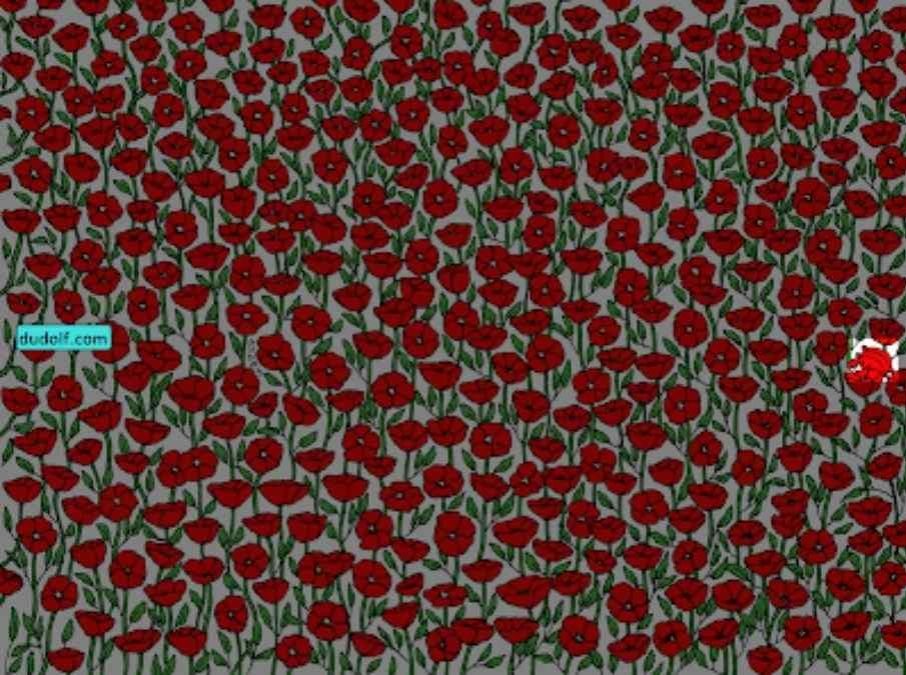 hidden objects picture puzzles with answers find-hidden-crab-picture-puzzle-answer