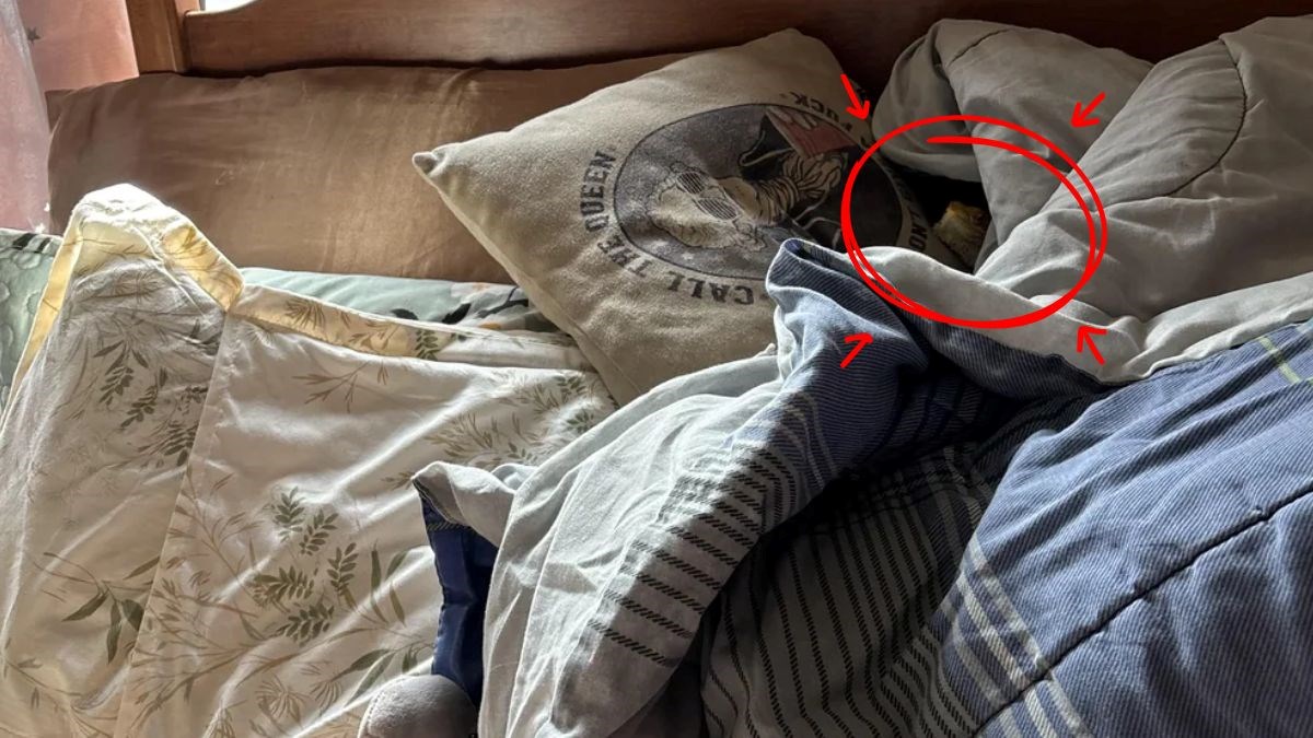 can you snipe the hidden Lizard-sol