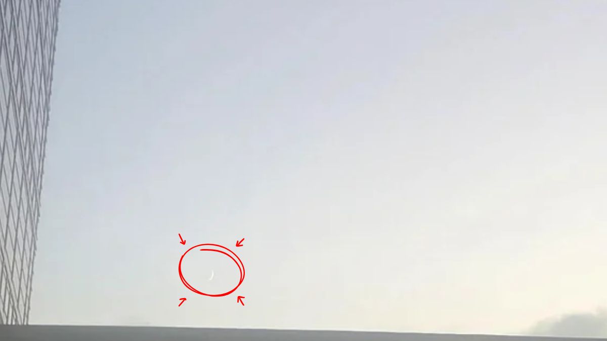 can you find the moon-sol