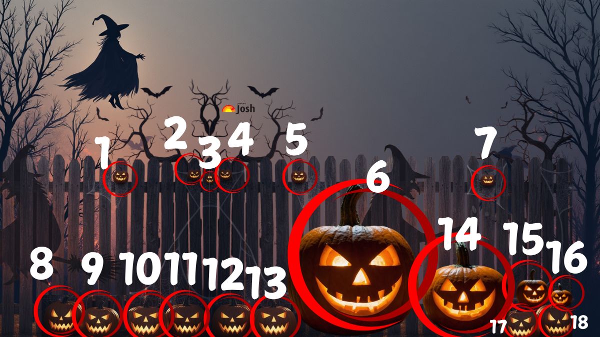 how many jack o lantern are you able to count in this halloween themrd-sol
