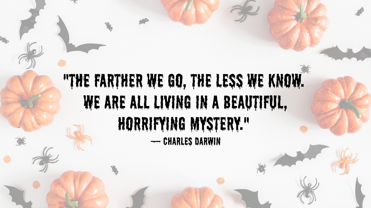 Happy Halloween Quote