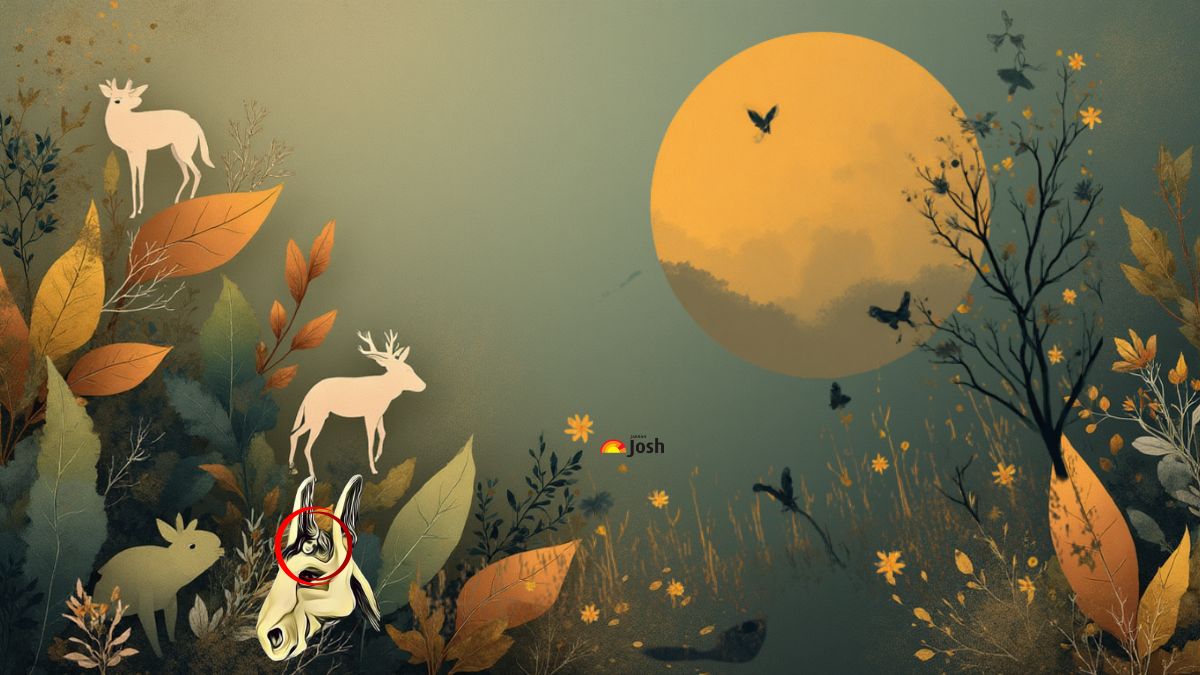 find tyhe hidden girl-sol