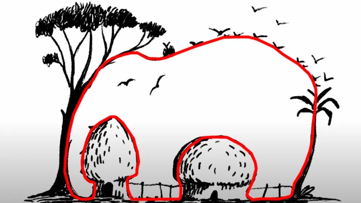 hidden objects optical illusions with answers hidden-elephant-optical-illusion-answer