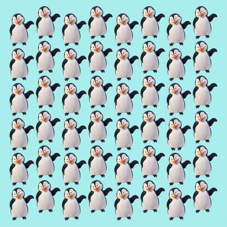 penguin-1