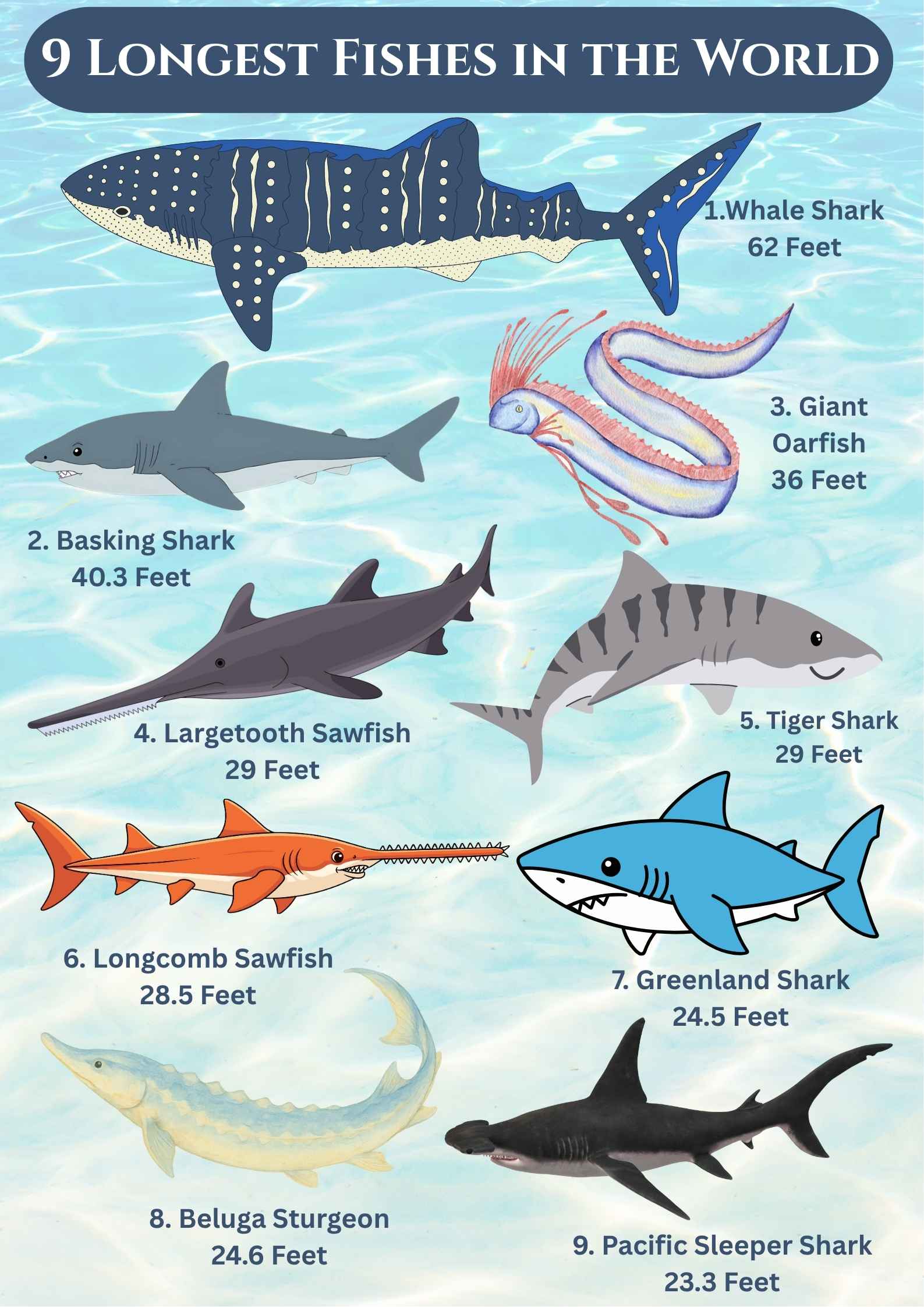 9 Longest Fishes in the World