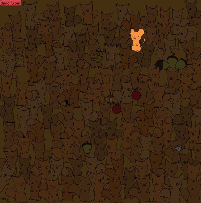 find-hidden-mouse-picture-puzzle-answer