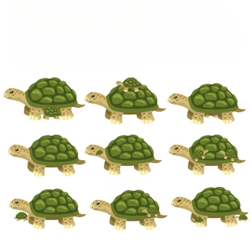 tortoise-puzzle