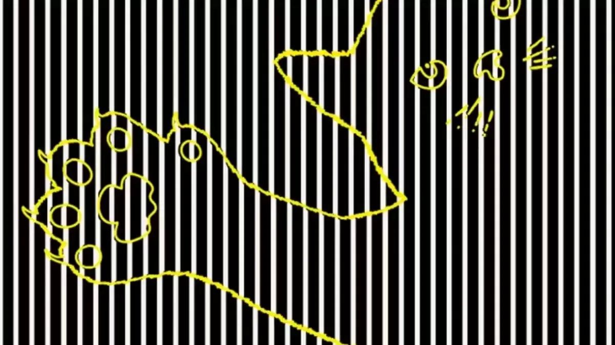 find-hidden-animal-optical-illusion-answer