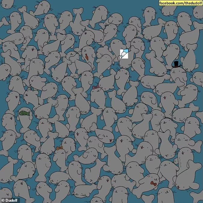 find-hidden-marshmallow-picture-puzzle-answer