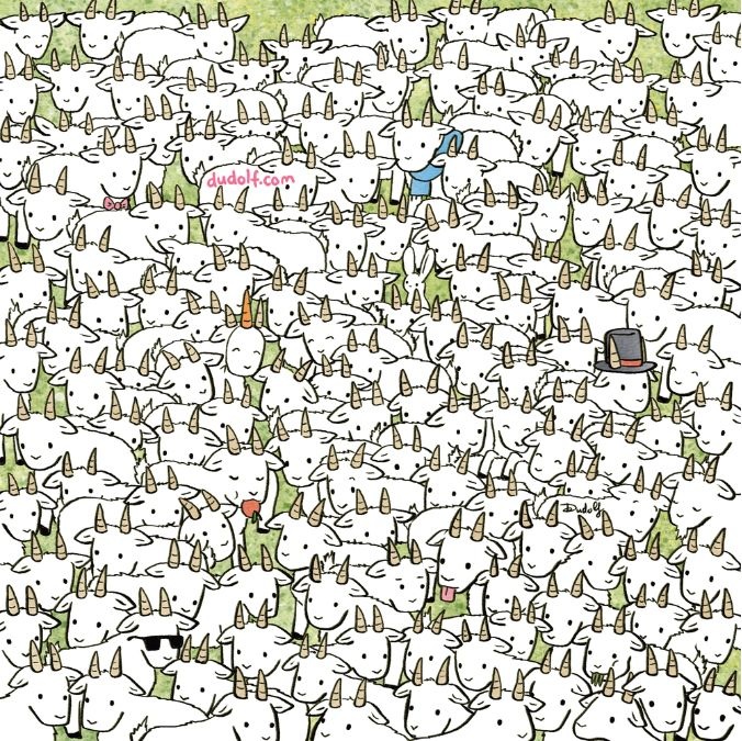 picture puzzles with answer find-hidden-sheep-picture-puzzle