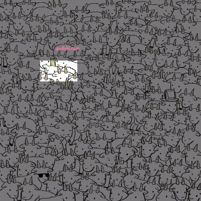 find-hidden-sheep-picture-puzzle-answer