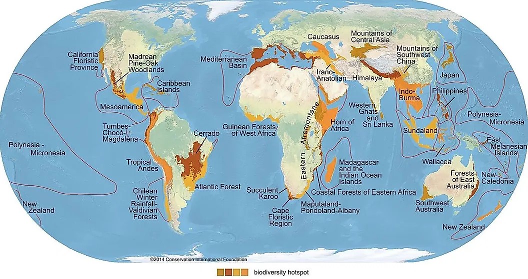 1280px-biodiversity-hotspots-map