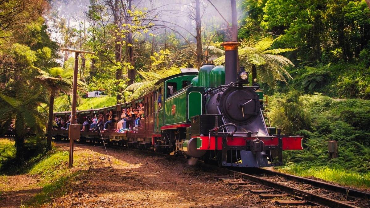 Puffing Billy Train