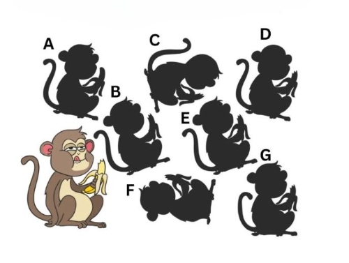 monkeyshadow-puzzle