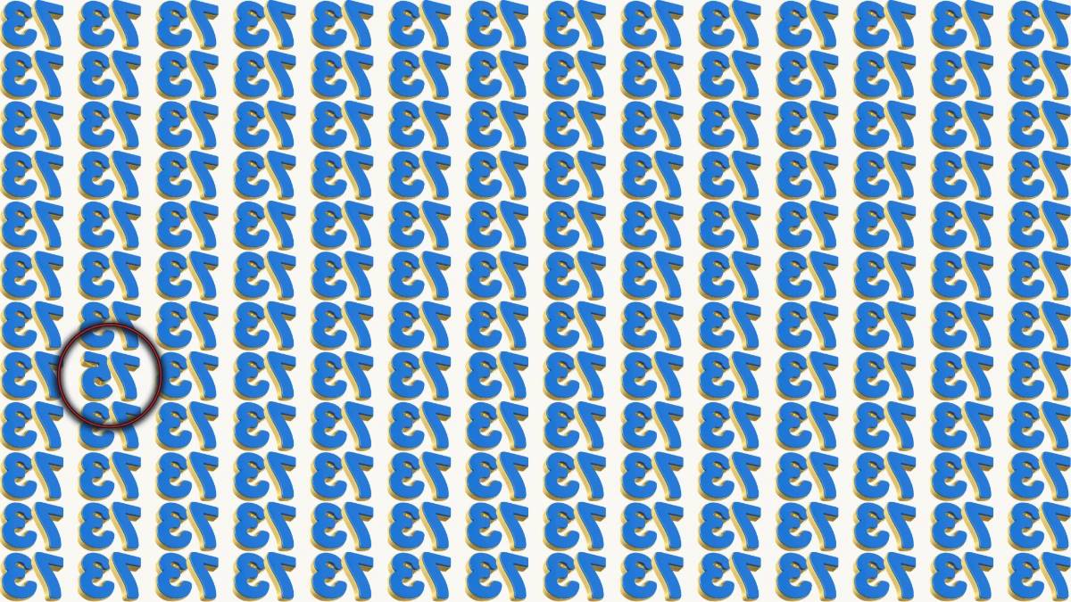 optical-illusion-iq-test-are-you-a-genius-within-7-seconds-spot-the-inverted-75-among-73-sol-jpeg