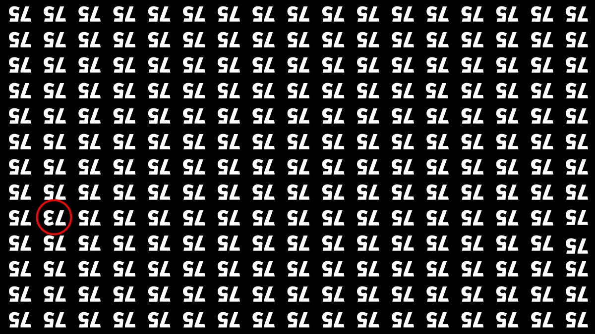 find-hidden-number-73-optical-illusion-answer