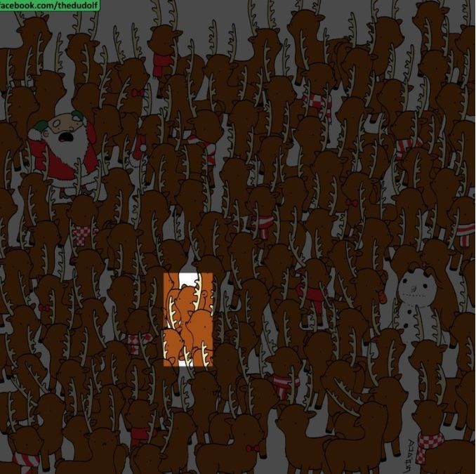 find-hidden-rudolph-picture-puzzle-answer