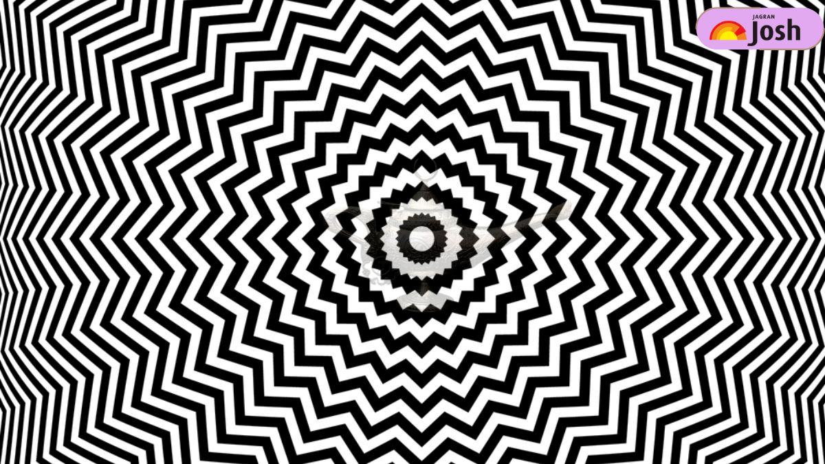 can you find what is hidden in this Geometric Zig Zag Lines-que