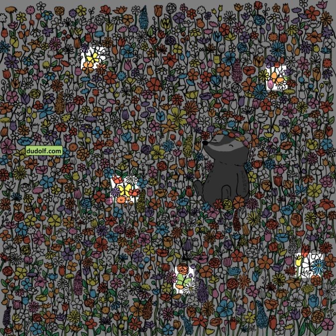 find-hidden-butterflies-picture-puzzle-answer