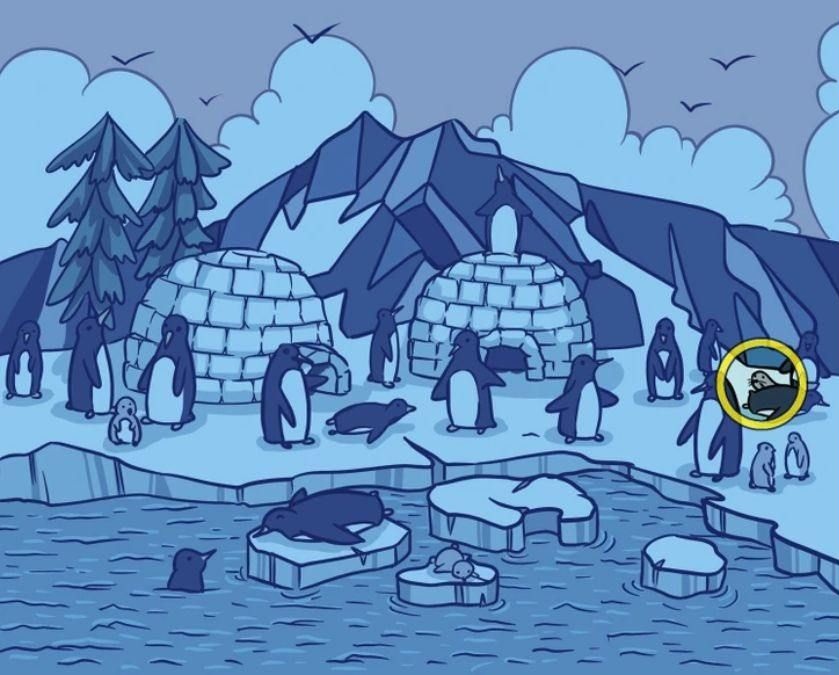 find-hidden-penguin-optical-illusion-answer