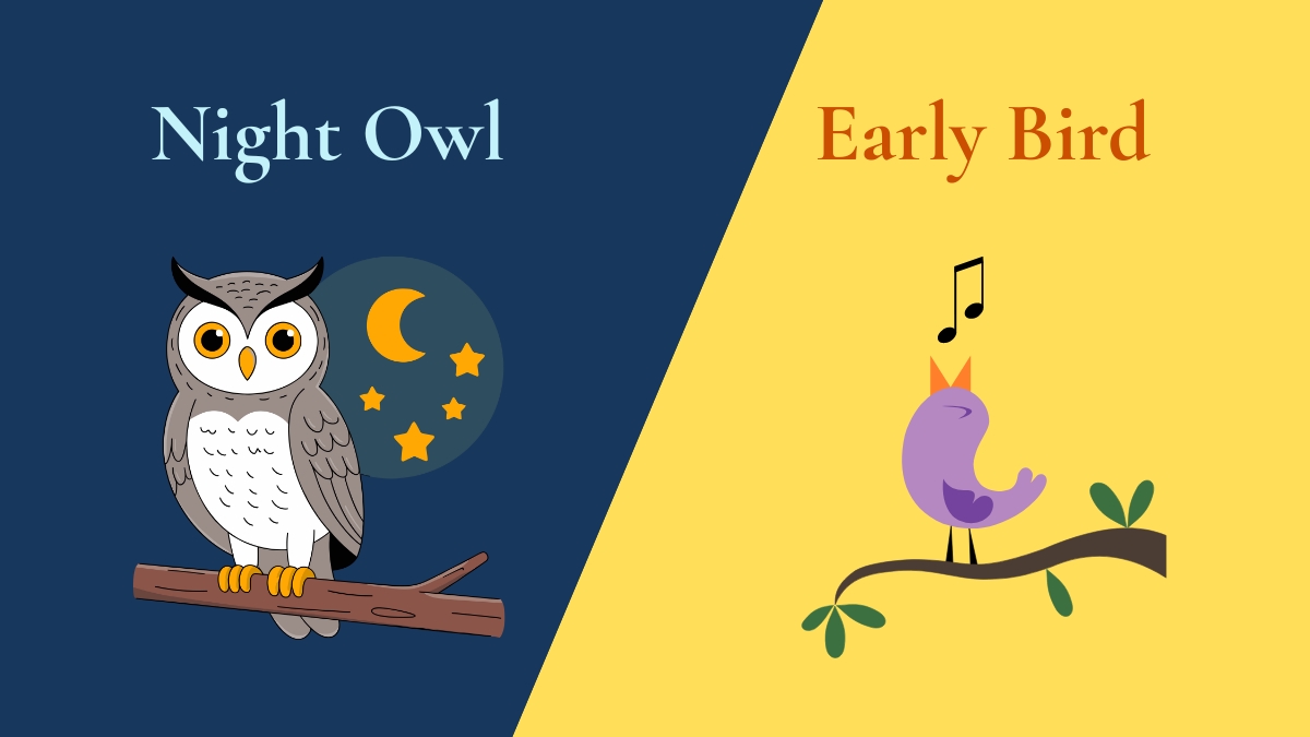 Are you a night owl or an early bird 