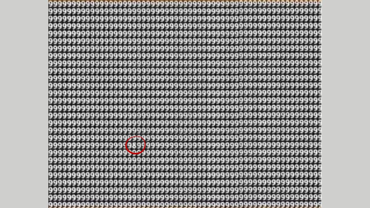 ca you spot the hidden 8 among 9 sol