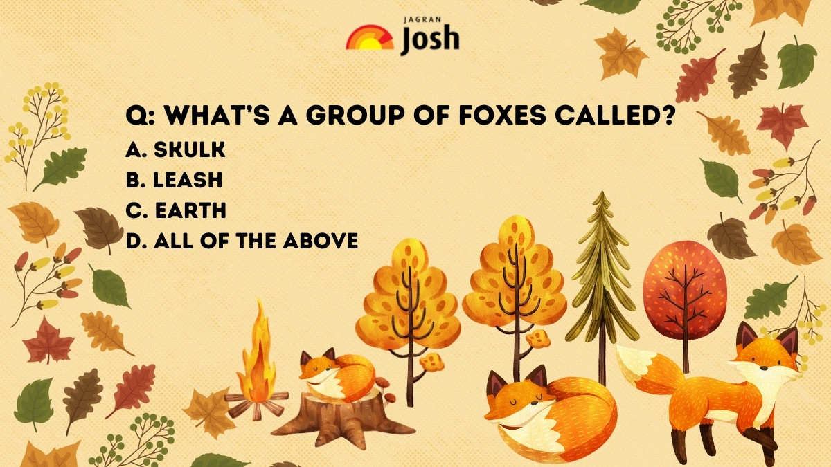 what is a group of foxes called