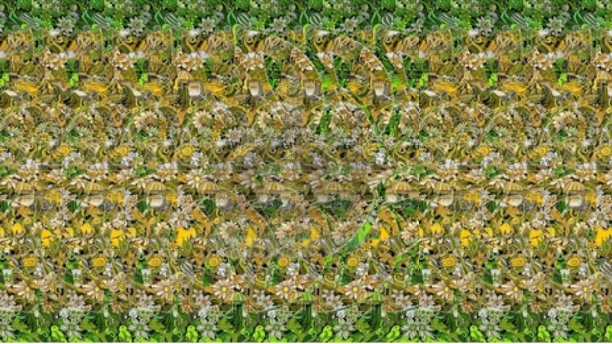 can you find what is hidden-que