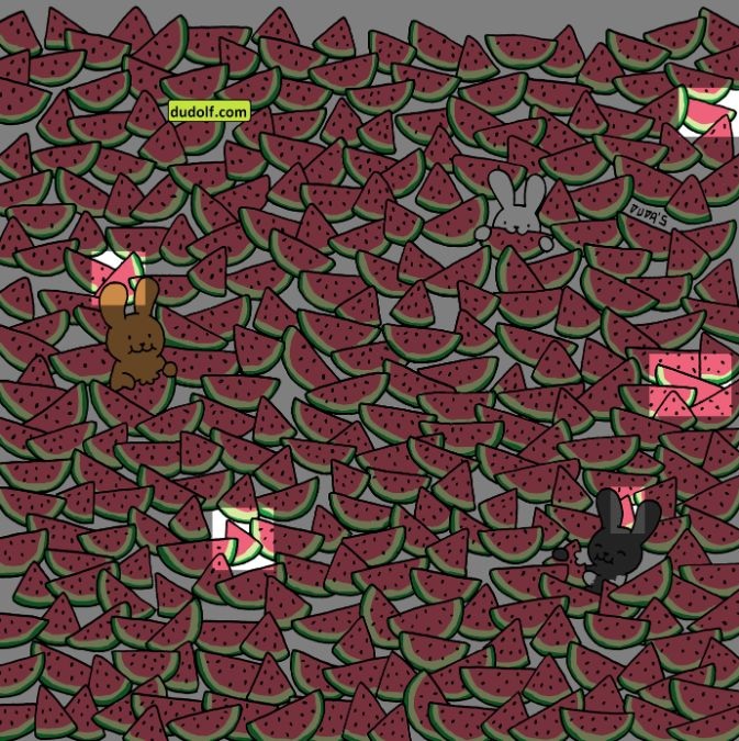 hidden-seedless-watermelons-picture-puzzle-answer
